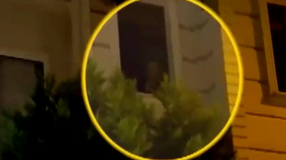 İstanbul’da pencereye çıkıp sabaha kadar çığlık atıyor
