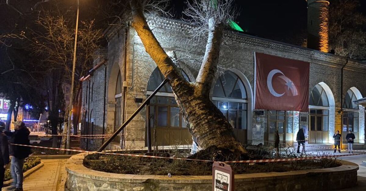 İnegöl’de 550 yıllık çınar ağacı, caminin üzerine devrildi